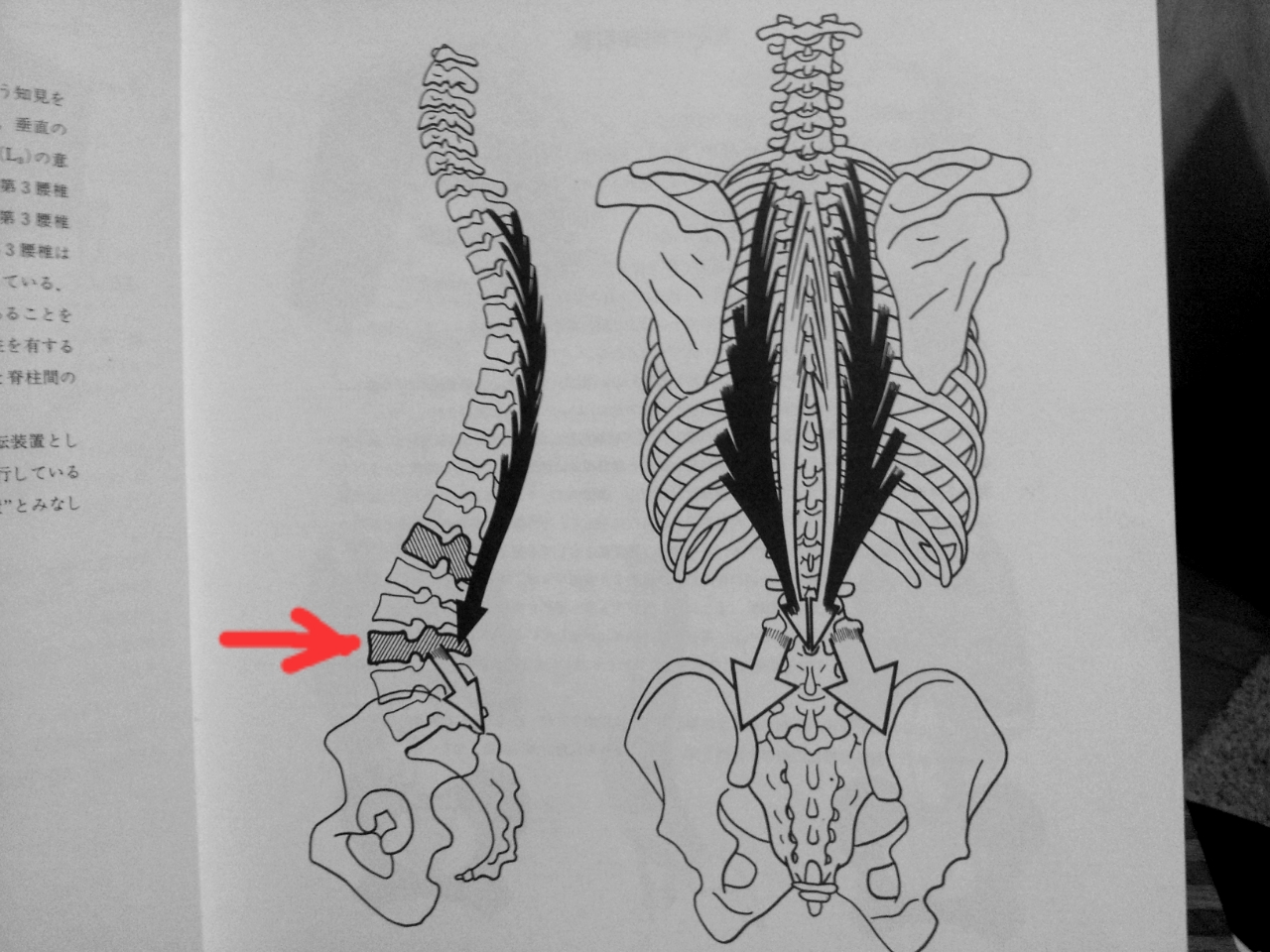 ネイマールの腰椎骨折について アスリートサポーター 齋野院長のブログ