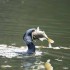 むかし常識、いま非常識