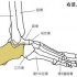 私のイタイ履歴書・其の参